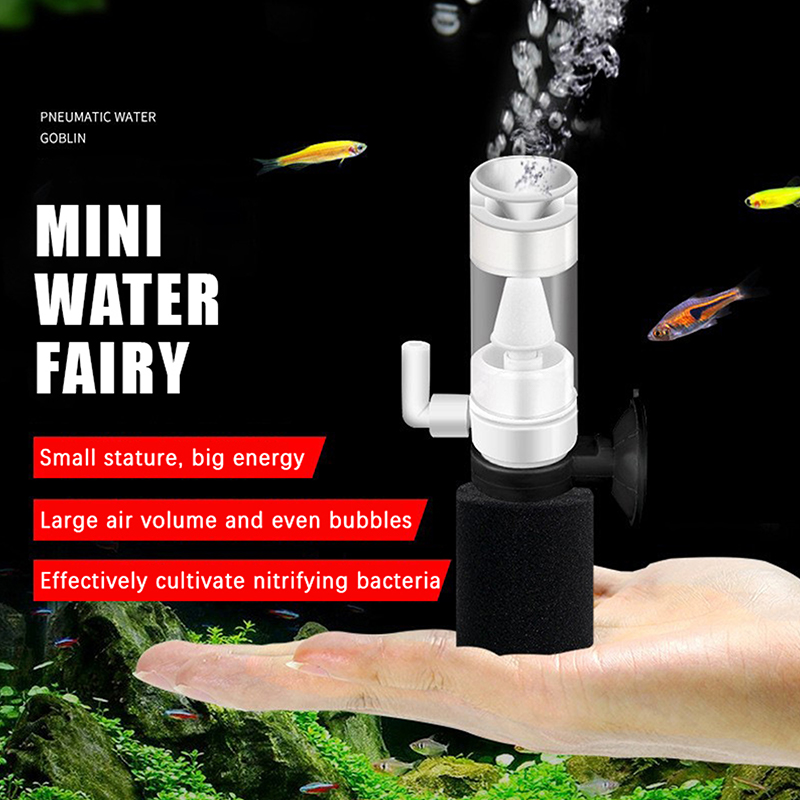 Betta Fish Tank - ♬ فلتر إسفنجي للأحواض السمكية يعمل