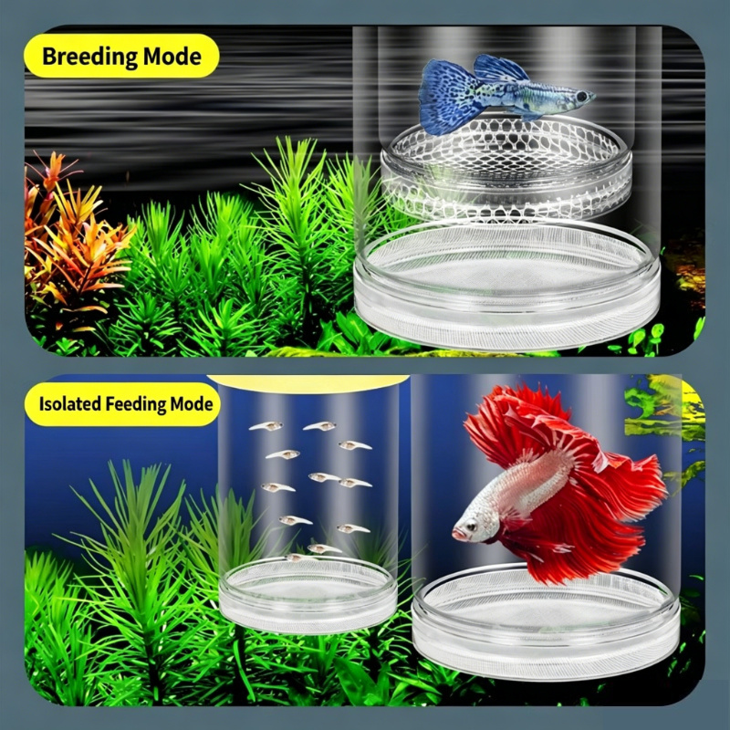 Aquarium Fish Betta - صندوق تفريخ شفاف عائم للأحواض المائية،