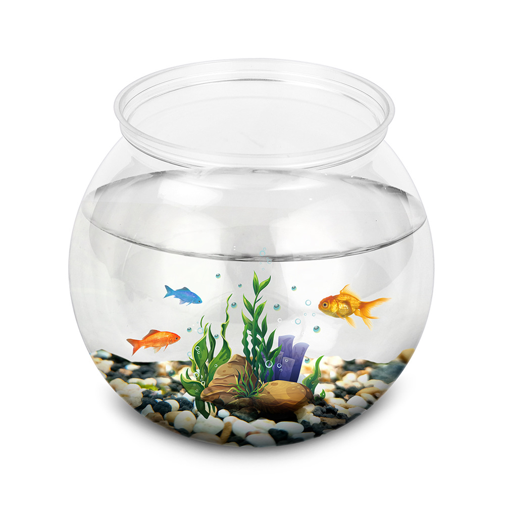وعاء السمك البلاستيكي مقاسات L - مراجعة Betta Fish Tank وسعره