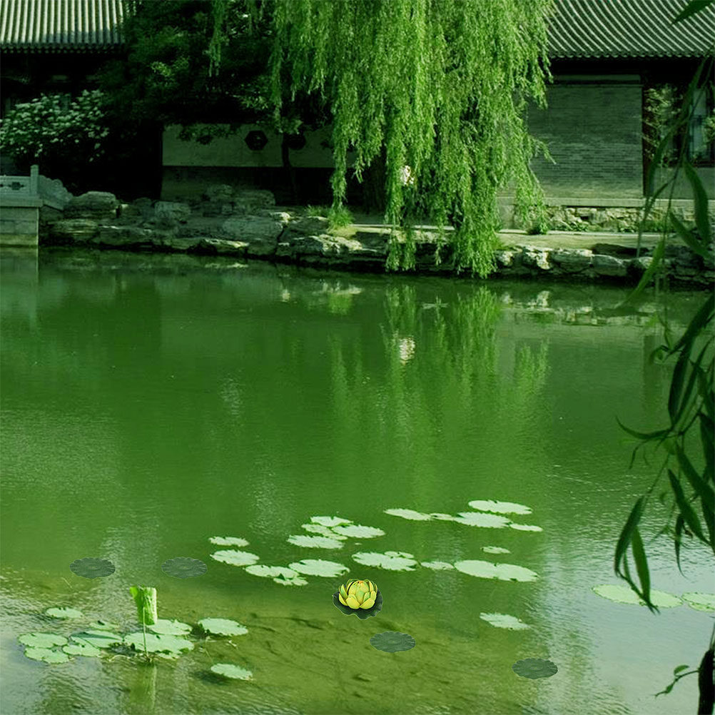 15 قطعة من أوراق الزنبق الاصطن - مراجعة Aquarium Plants وسعره