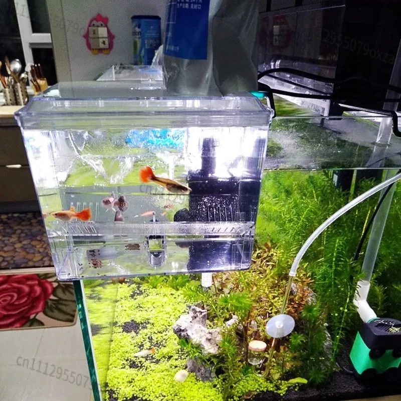 صندوق فصل معلق لحوض السمك بجهد - مراجعة Aquarium Pump وسعره