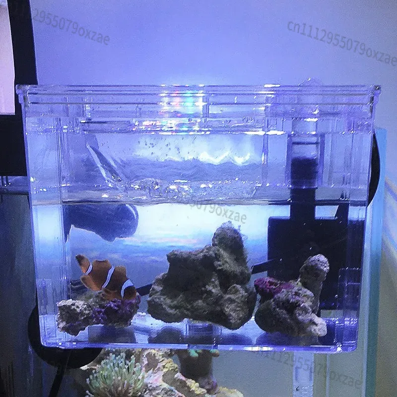 صندوق فصل معلق لحوض السمك بجهد - مراجعة Aquarium Pump وسعره