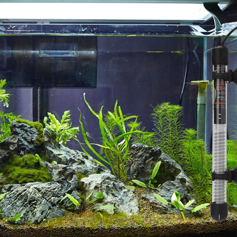 سخان حوض أسماك أوروبي 25 واط/5 - مراجعة Fish Tank Heater وسعره