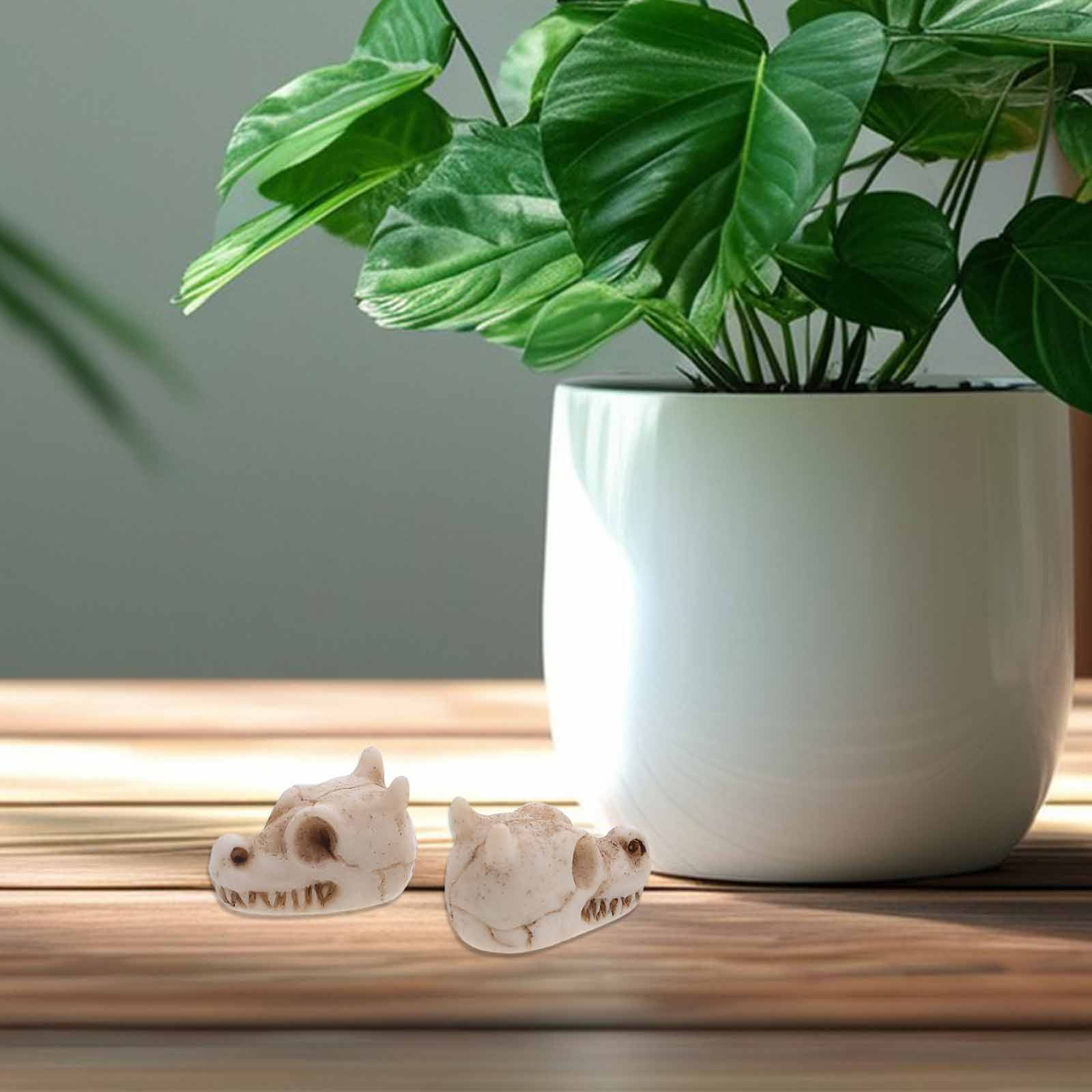 20 قطعة من زينة جمجمة التنين ا - مراجعة Aquarium Decor وسعره
