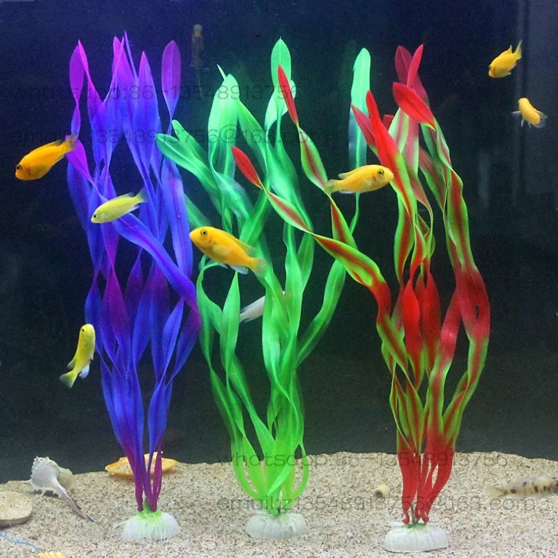 5/10 قطع من نباتات الأحواض الب - مراجعة Aquarium Plants وسعره