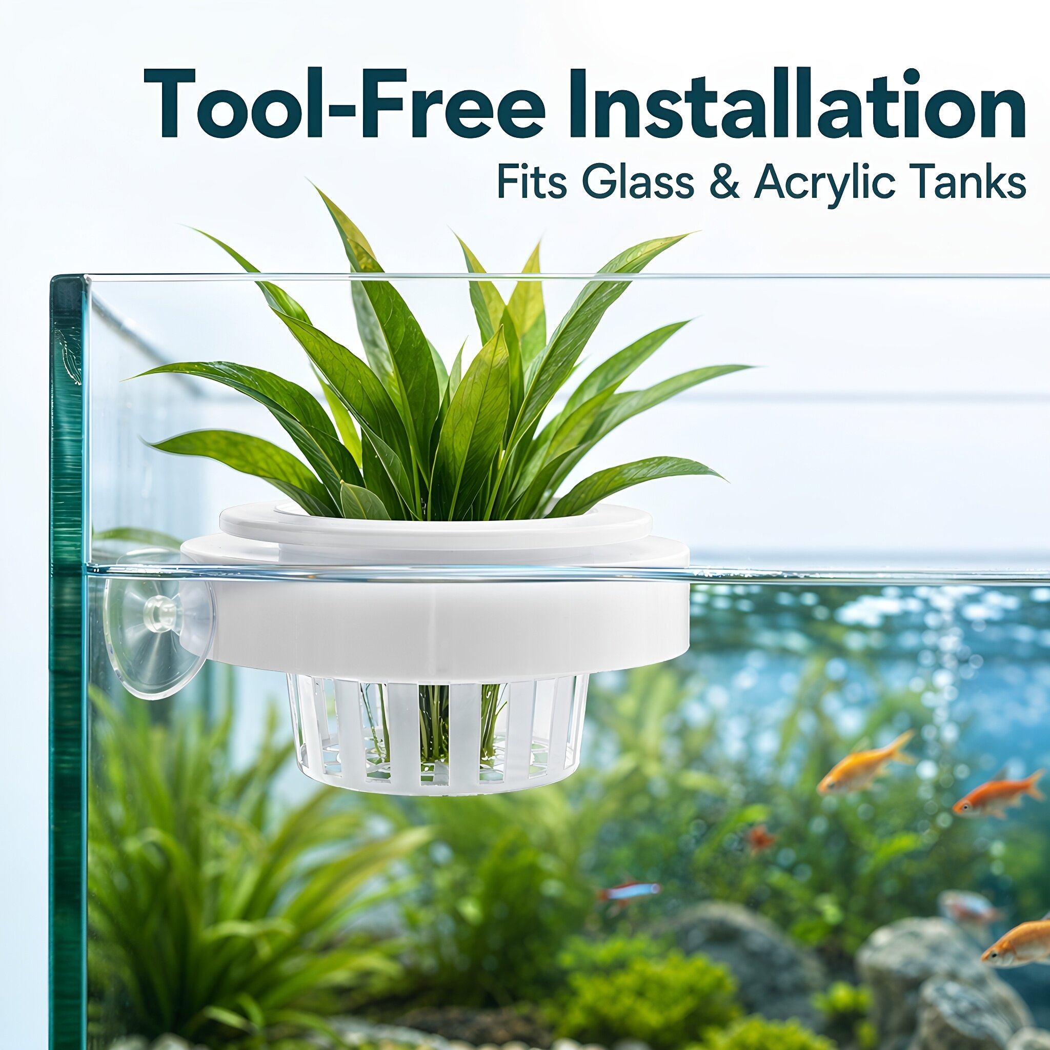 4 قطع من سلال نباتات الأحواض ا - مراجعة Aquarium Plants وسعره