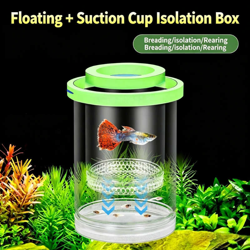 صندوق تفريخ شفاف عائم للأحواض  - مراجعة Aquarium Fish Betta وسعره